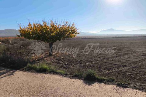 Landejendom i Yecla, Murcia, Yecla - € 63.000 | Ref: SF0550 - foto 30